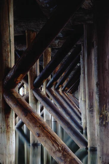 Bridge Pilings