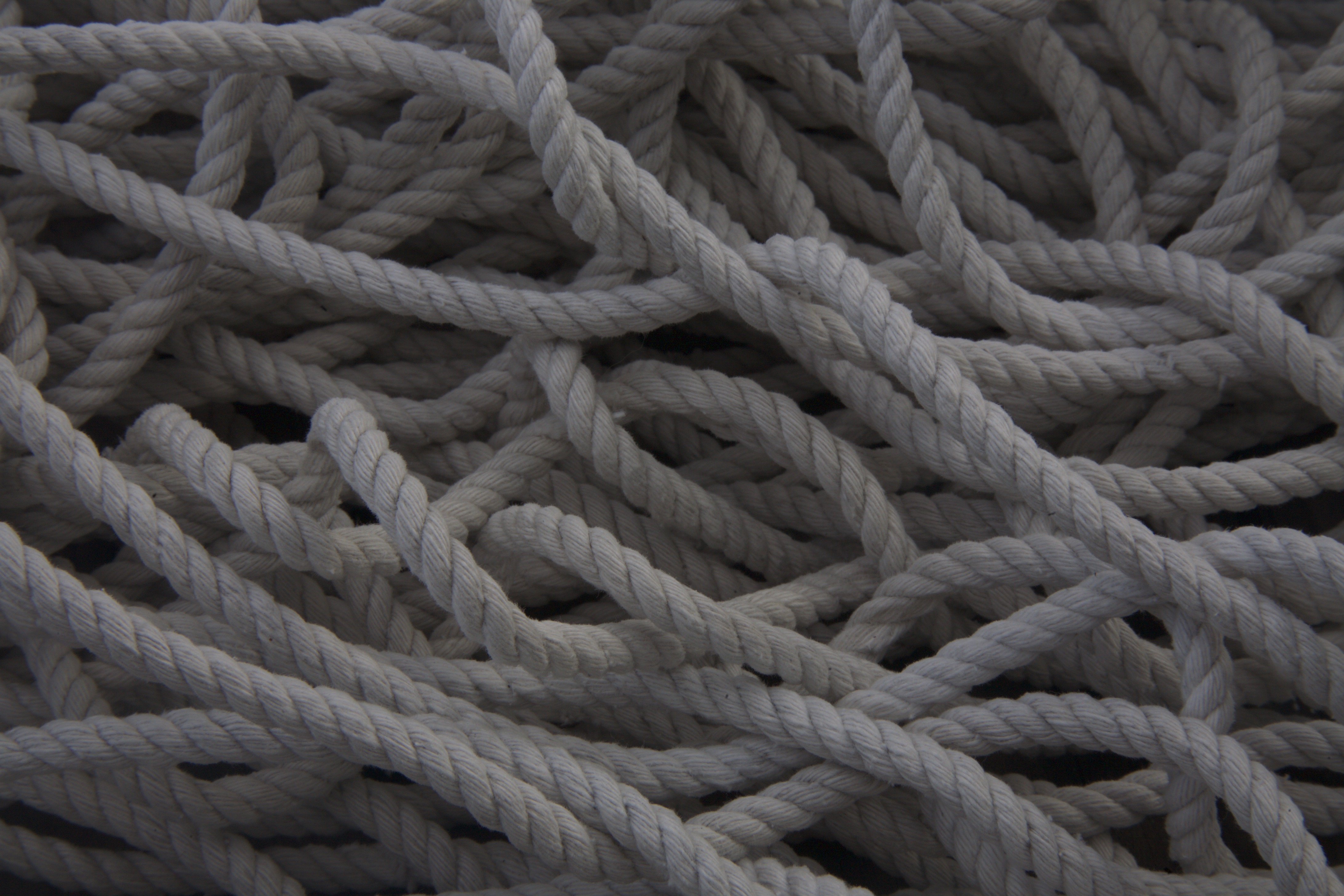 Gordian Knots