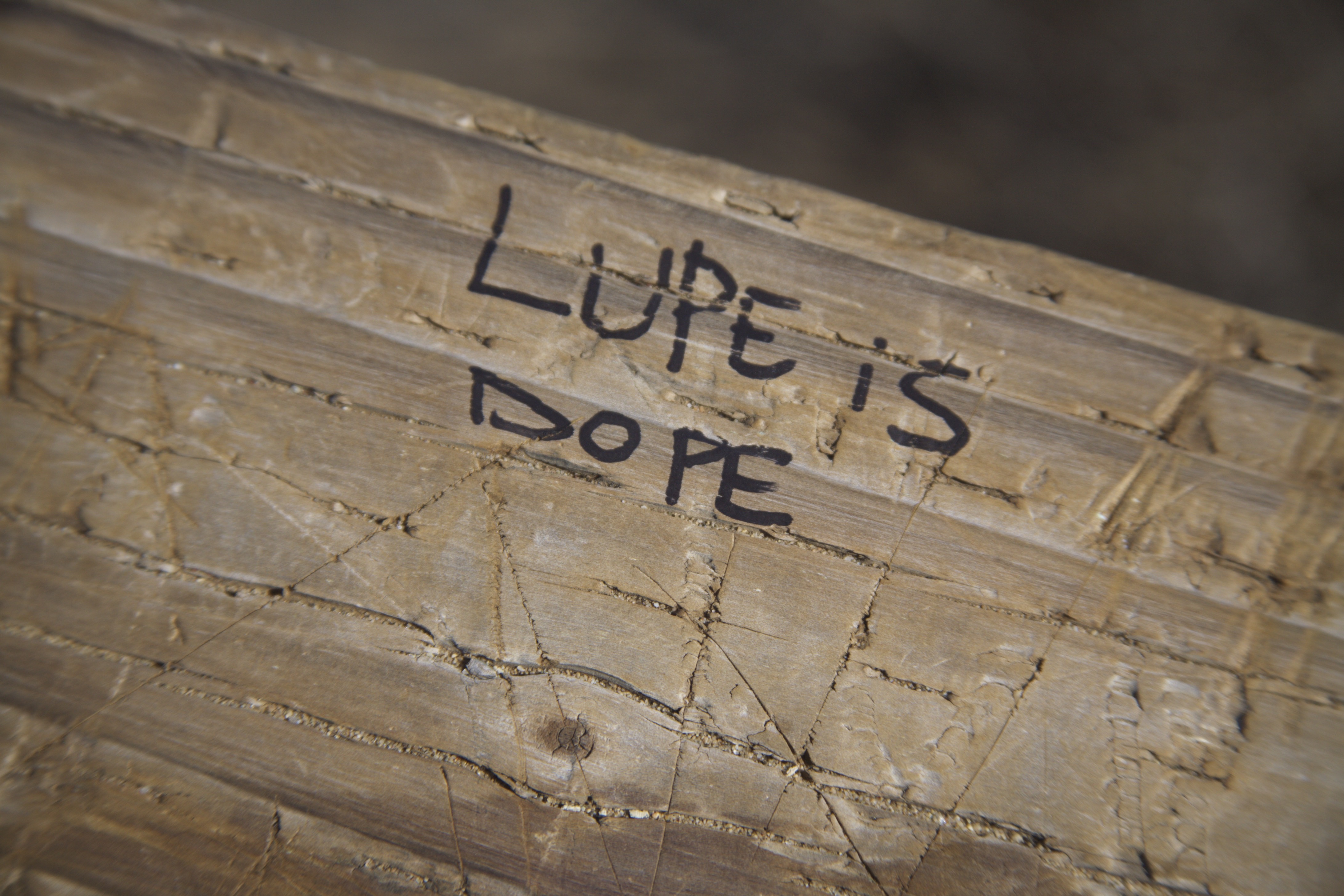 Lupe is Dope